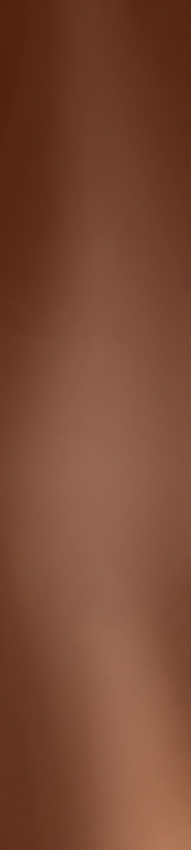 Ilustracion TEREA Bronze