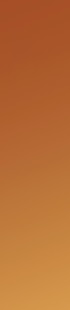 LOMOS_BLENDS_GOLD_70X310px