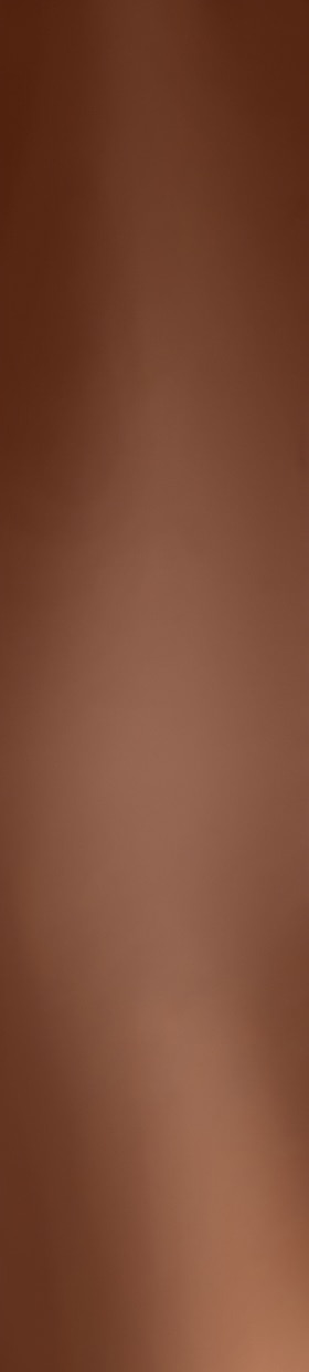 Ilustracion TEREA Bronze